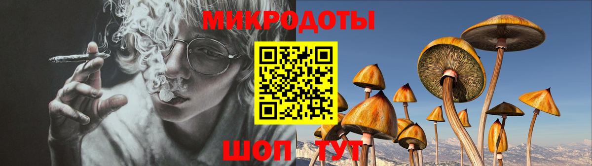 Галлюциногенные грибы Psilocybe  Вход с VPN  Ярославль  Галлюциногенные грибы Psilocybe 
